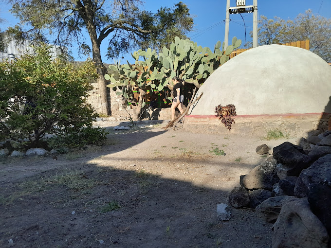 Temazcal Cacomixtle