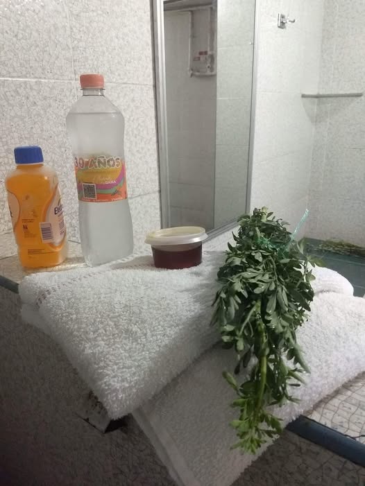 sauna en xalapa sauna en xalapa
