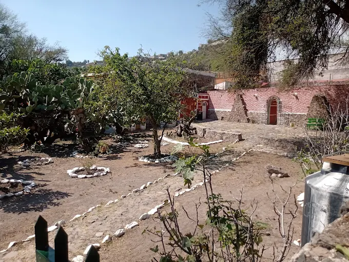 temazcal cacomixtle temazcal cacomixtle