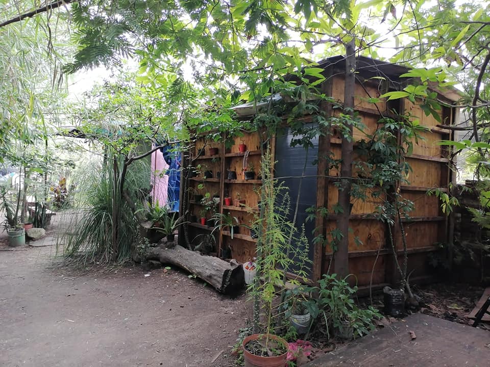 temazcal kay pacha en zapopan temazcal kay pacha en zapopan
